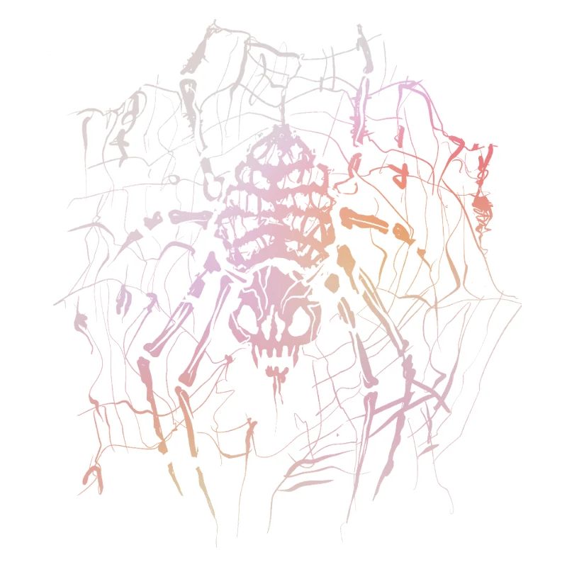 Skeleton Spider
