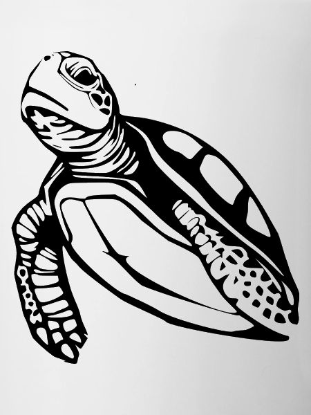 Tortue Tortues