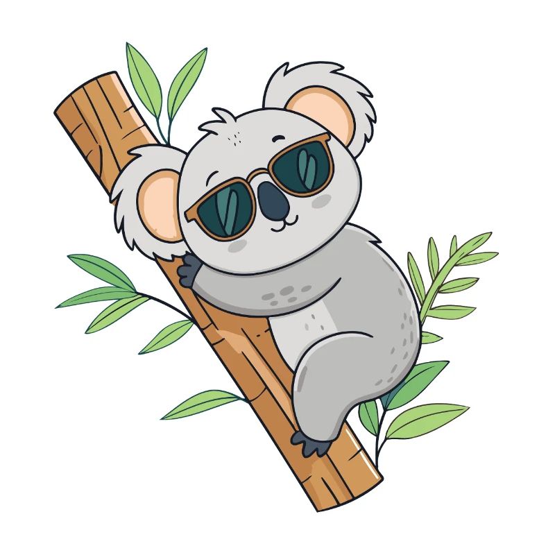 Koala Branche Soleil