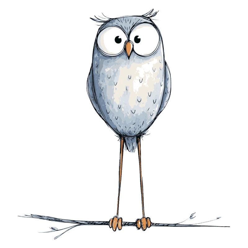 Cute Owl