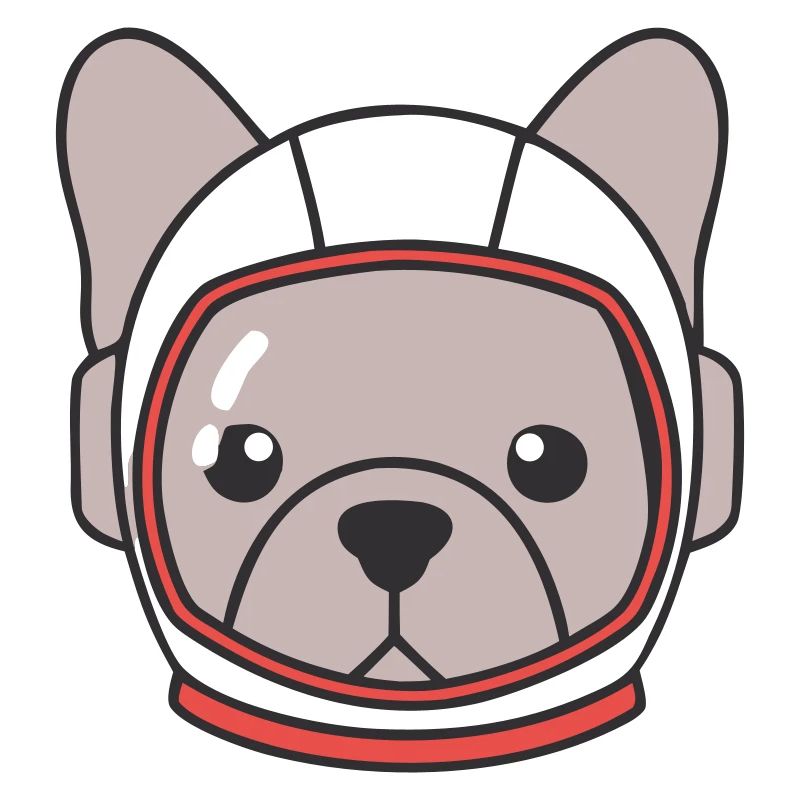 Frenchie Astronaut Helmet Space