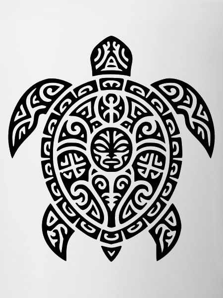 tortoise