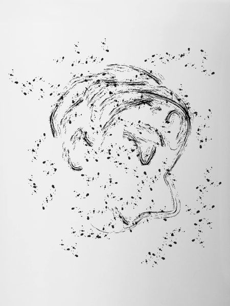 Résumé du visage | Blobs d’étoiles