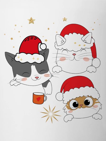 Katzen im Weihnachtsglanz