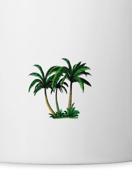 palms