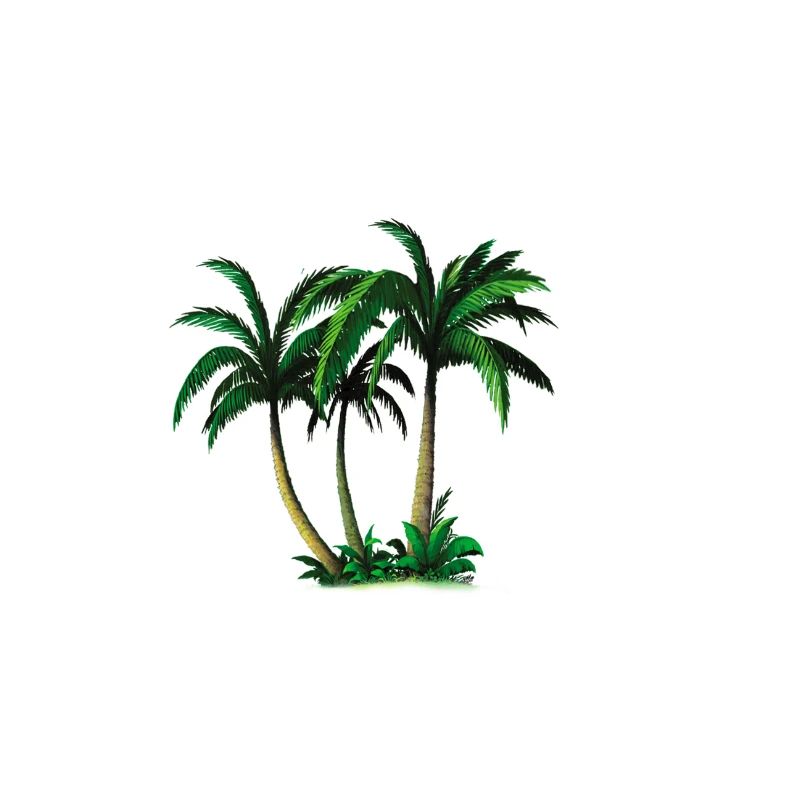 palms