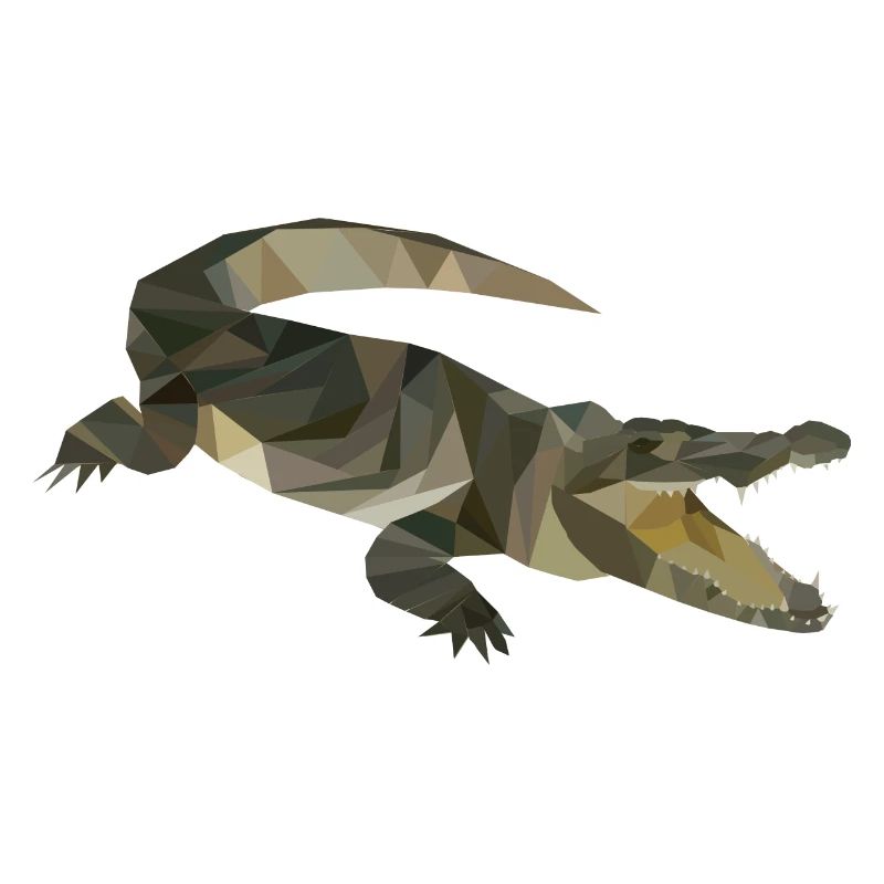 Crocodile
