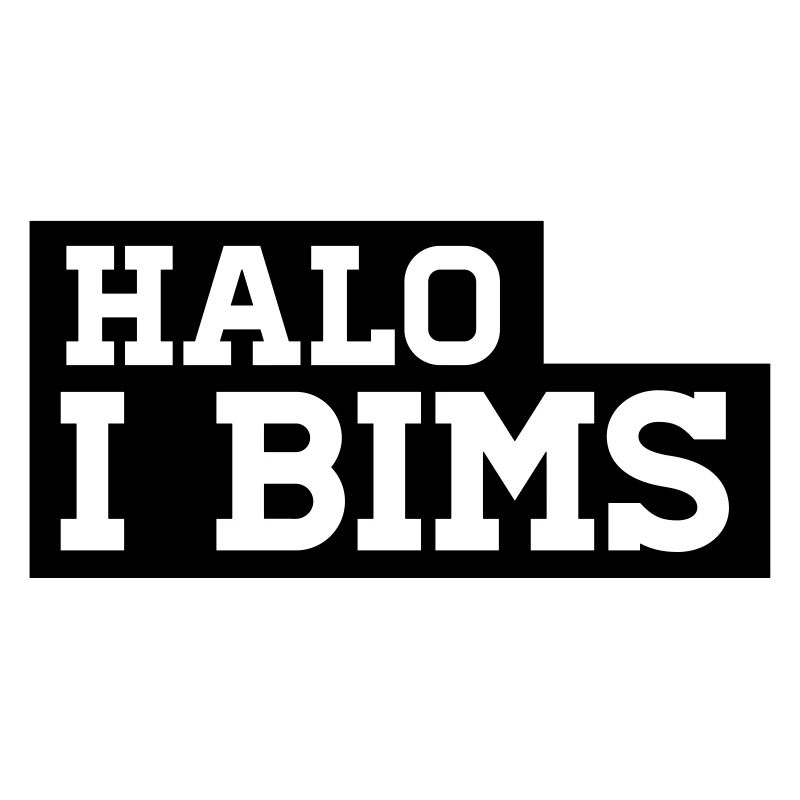 HALO - I BIMS