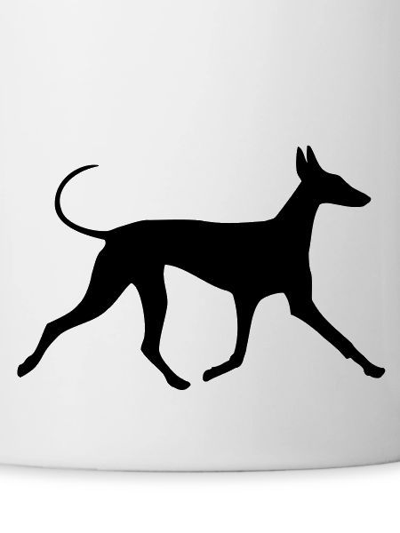 Pharaoh Hound