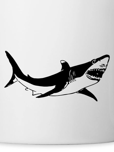 Requin blanc