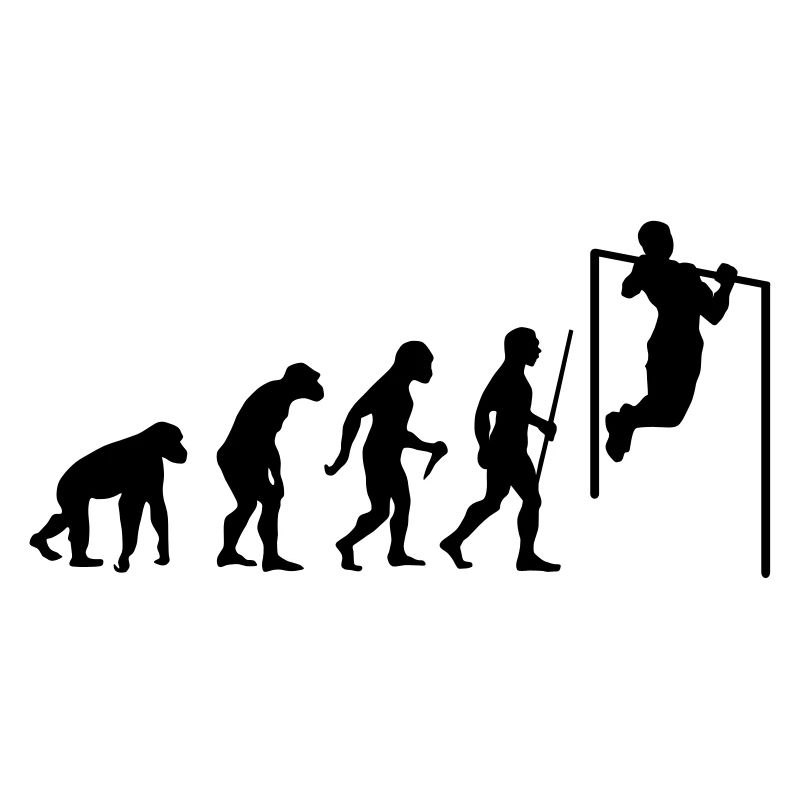 Evolution Pull Up