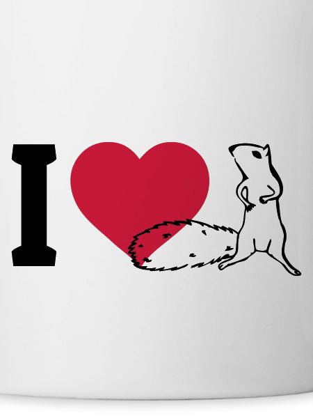I love Squirrels