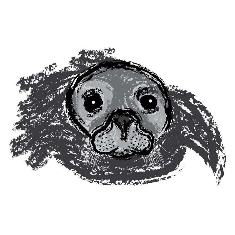 Emerging Seal / Surfacing Seal - Design I