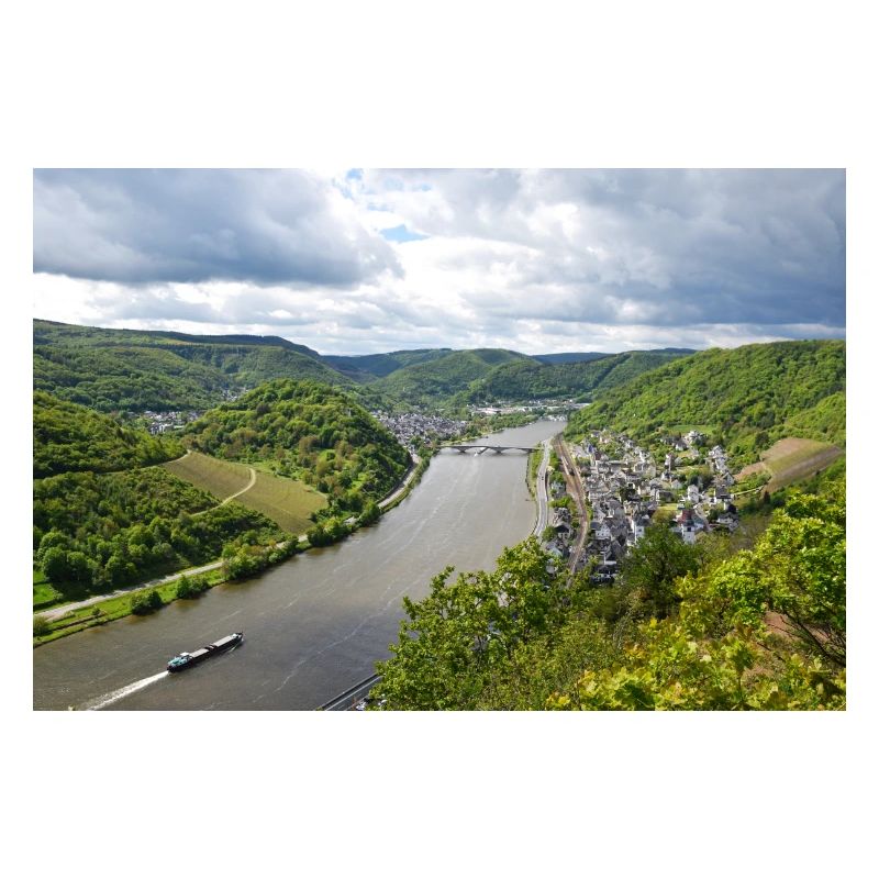 Moselle, Vin, Vignoble, Reil, Panorama
