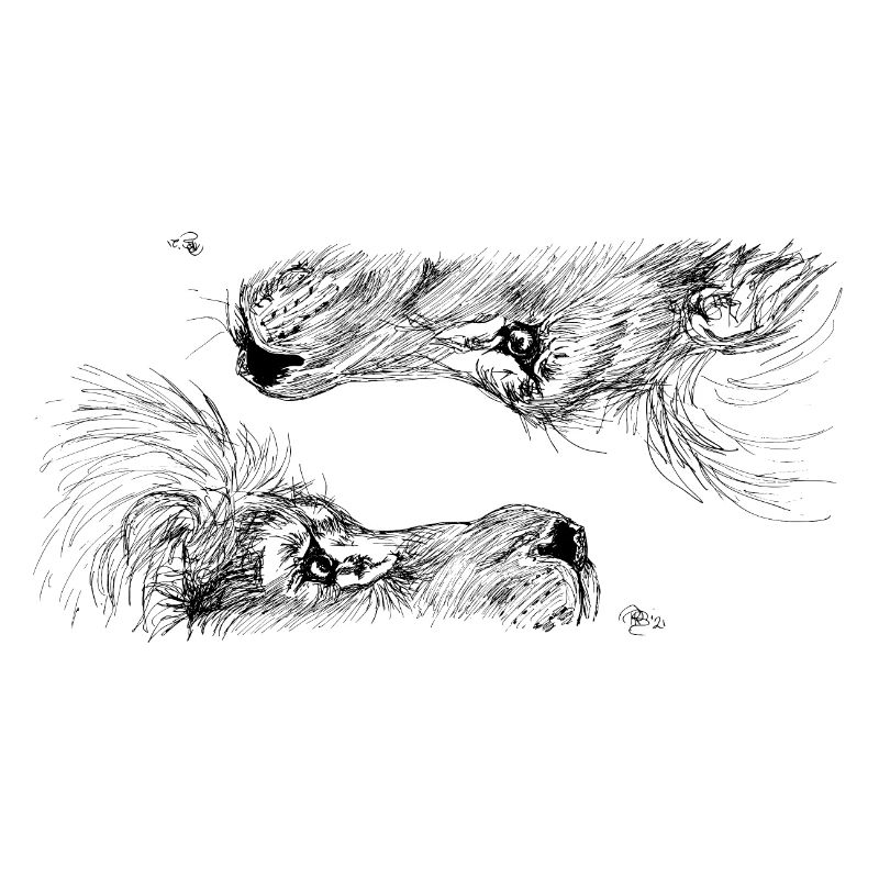 Double lion