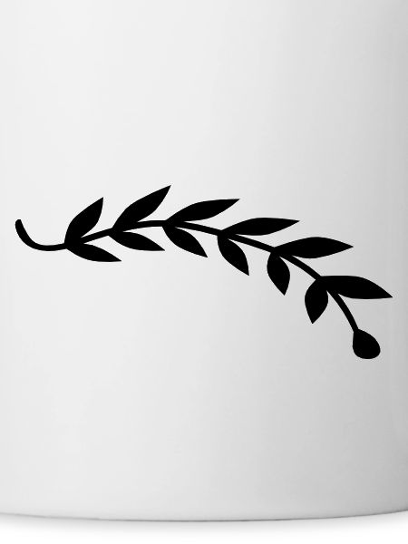 Bay leaf plant branch