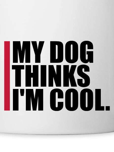 Dog thinks in the cool