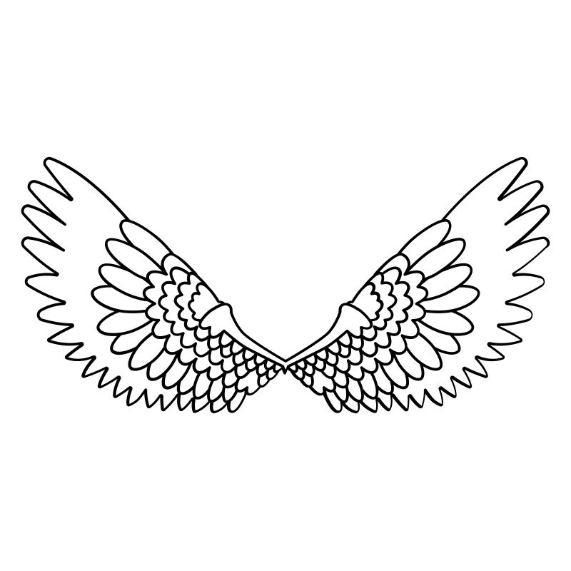 Open wings with feathers