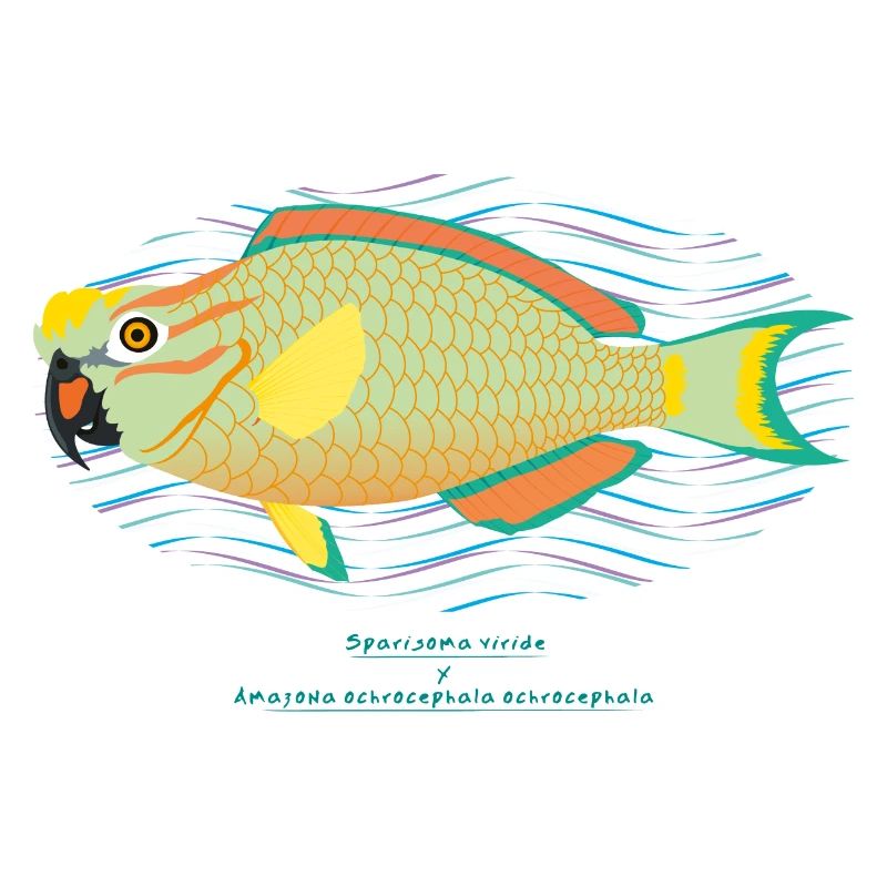 Poisson-perroquet / Hybride