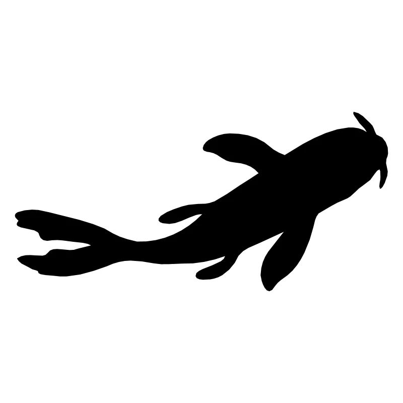 Silhouette Koi Fish Nishikigoi