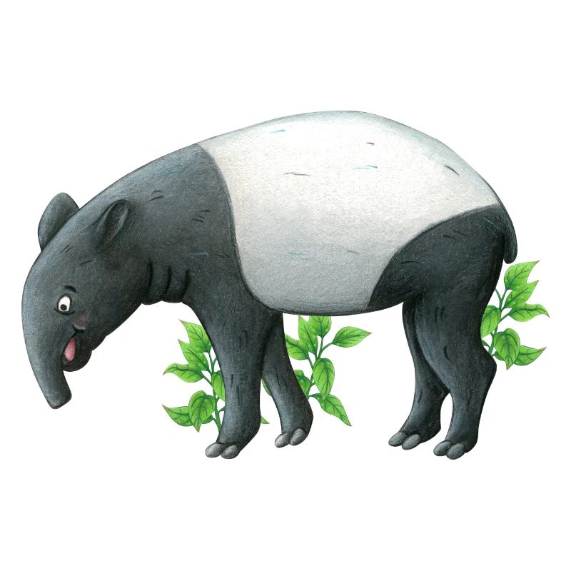 small tapir