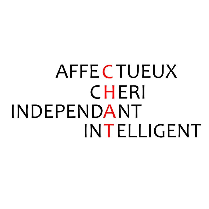 scrabble mots croisés chat