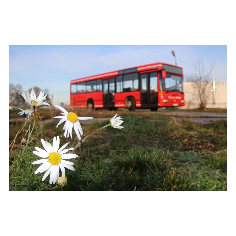 Miettes avec fleurs