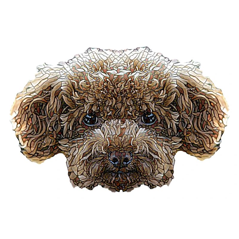 Visage de caniche jouet