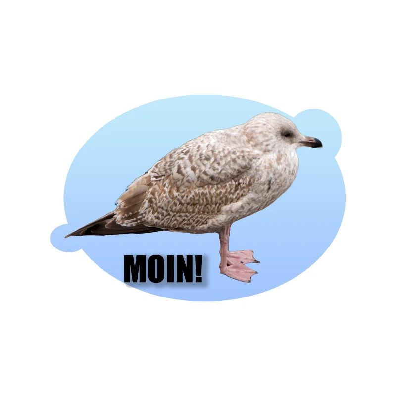 Möwe