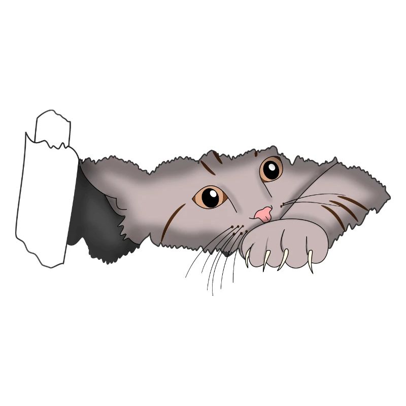 Chat