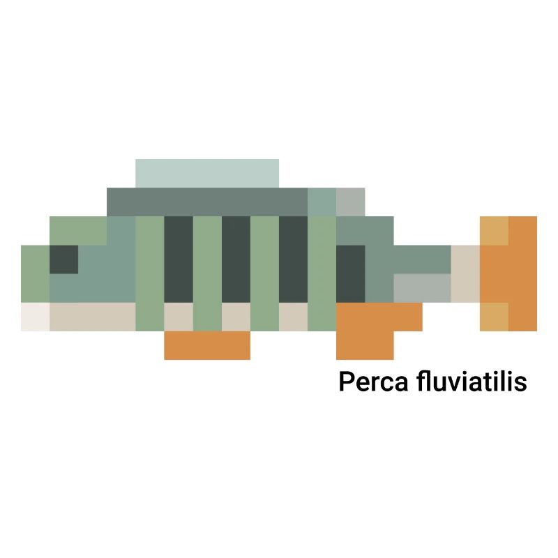 Barsch - Perca fluviatilis gepixelt