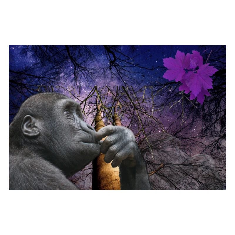 Singe.