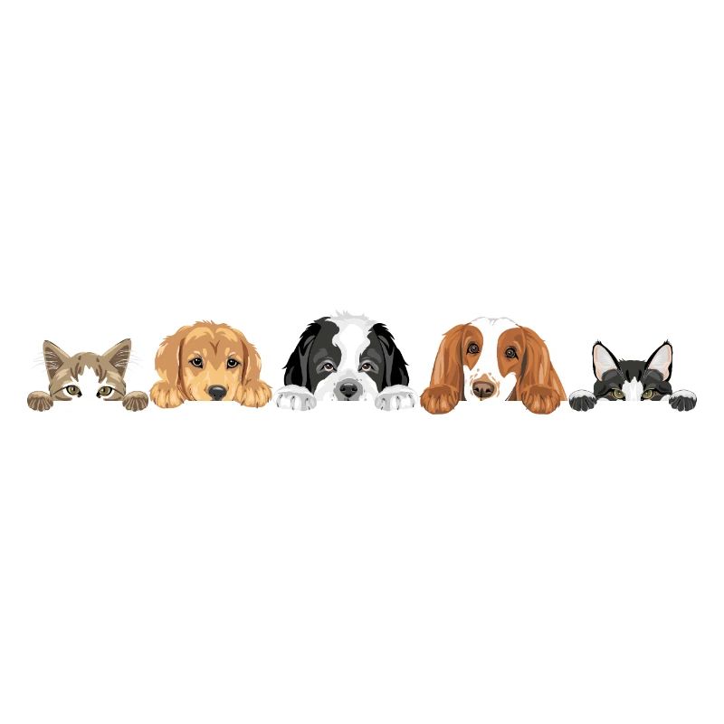 Niedliche Hunde und Katzen spähen