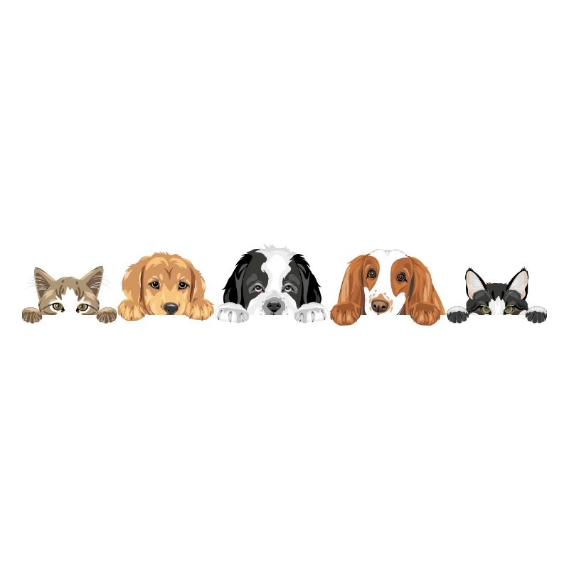Chiens et chats mignons