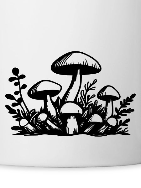 Champignons Pilze