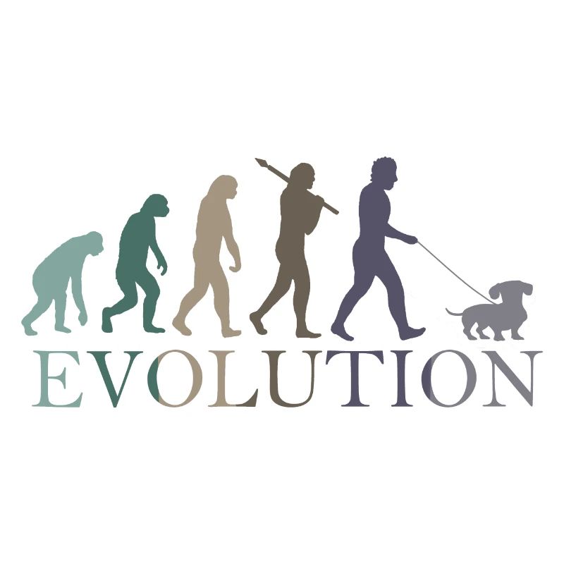 EVOLUTION DES RETRO-DACKELS