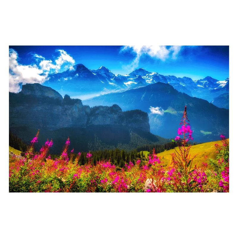 SUMMER ALPS
