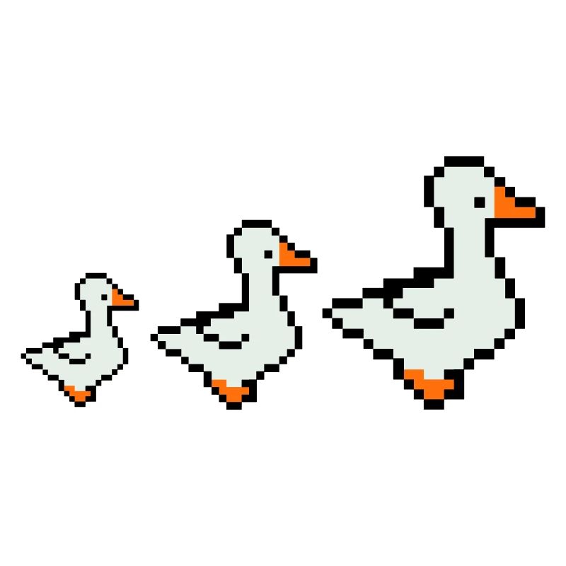 Canards pixellisés