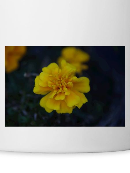 gelbe Blume