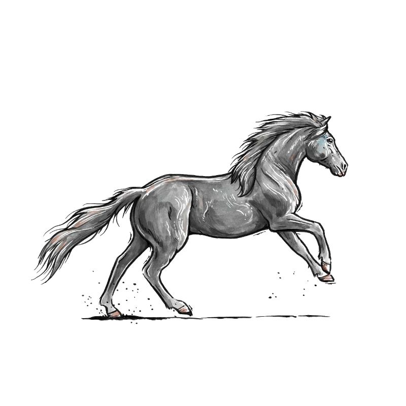 Cheval noir au galop
