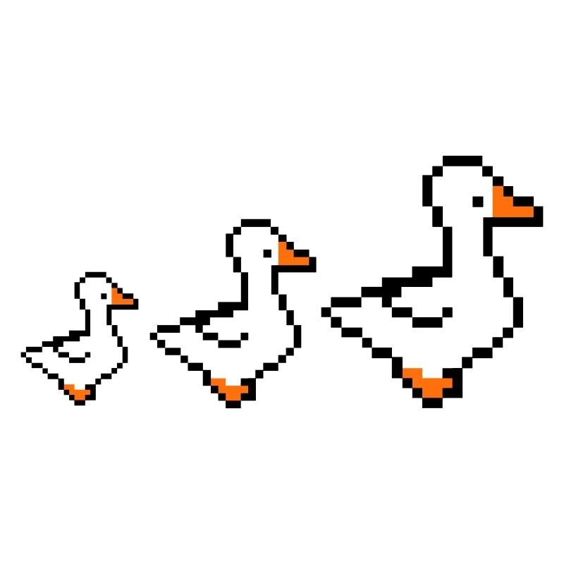 Canards pixellisés