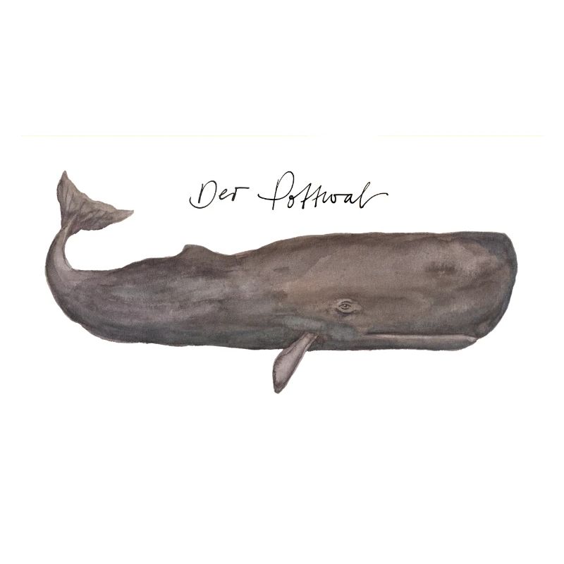 Le Cachalot Aquarelle