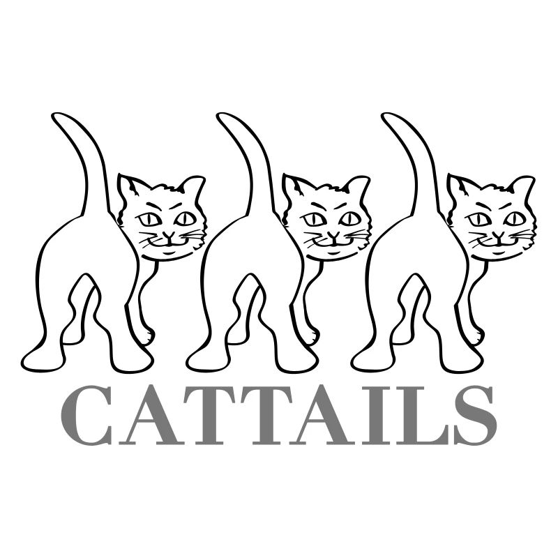 HM Murdock - Cat Tails