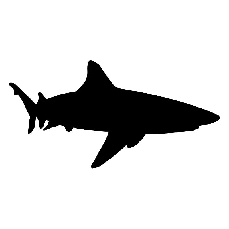 shark animal