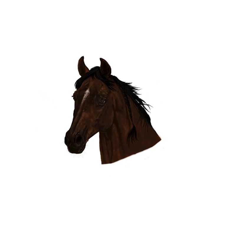 Pferd