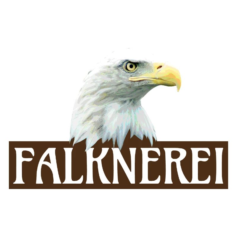 Fauconnerie, aigle, transparent