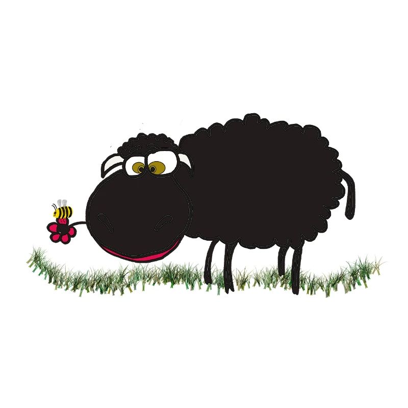 black sheep