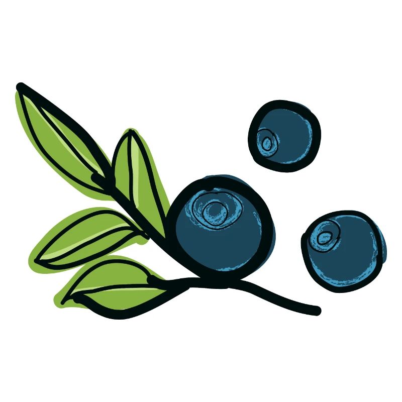 Fruits de myrtille