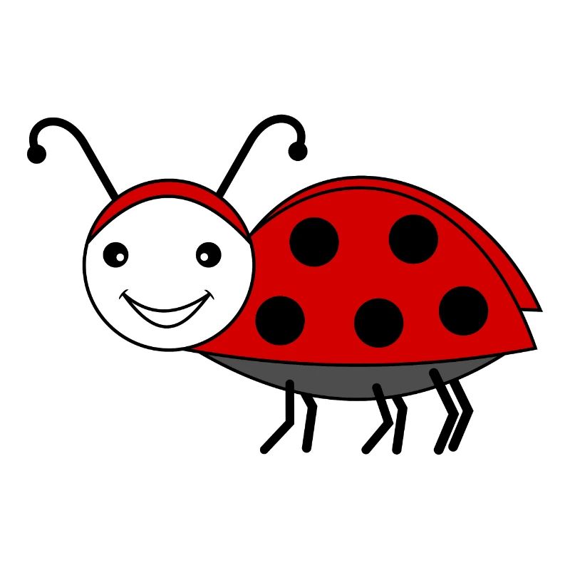 Coléoptère de mai rouge