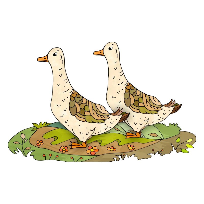Canard
